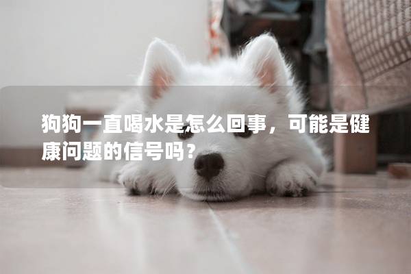 狗狗一直喝水是怎么回事，可能是健康问题的信号吗？