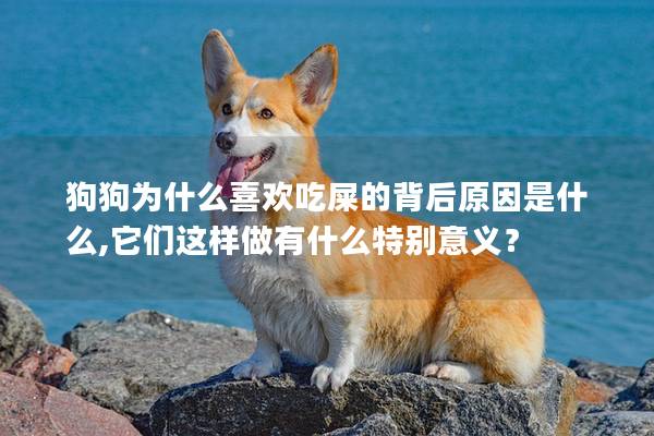 狗狗为什么喜欢吃屎的背后原因是什么,它们这样做有什么特别意义？