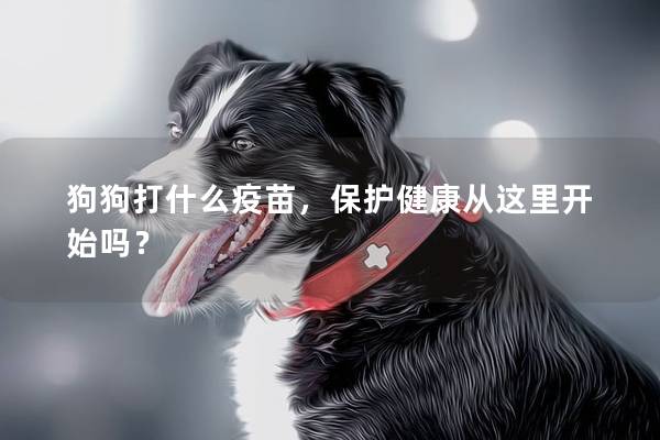 狗狗打什么疫苗，保护健康从这里开始吗？