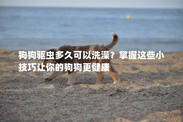 狗狗驱虫多久可以洗澡？掌握这些小技巧让你的狗狗更健康