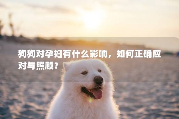 狗狗对孕妇有什么影响，如何正确应对与照顾？