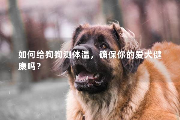 如何给狗狗测体温，确保你的爱犬健康吗？