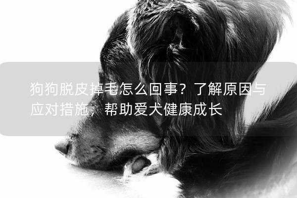 狗狗脱皮掉毛怎么回事？了解原因与应对措施，帮助爱犬健康成长