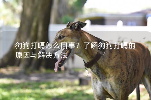 狗狗打嗝怎么回事？了解狗狗打嗝的原因与解决方法