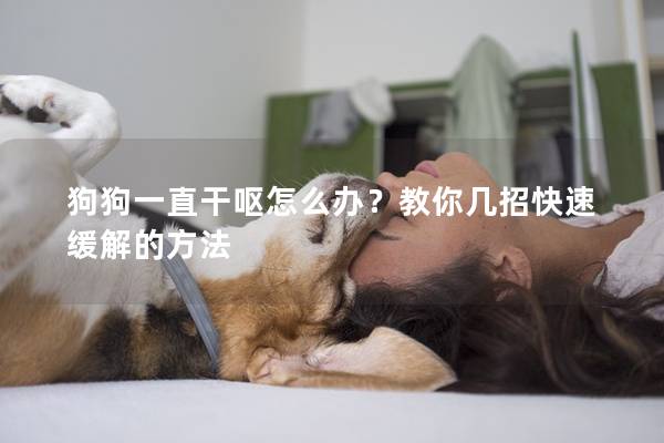 狗狗一直干呕怎么办？教你几招快速缓解的方法