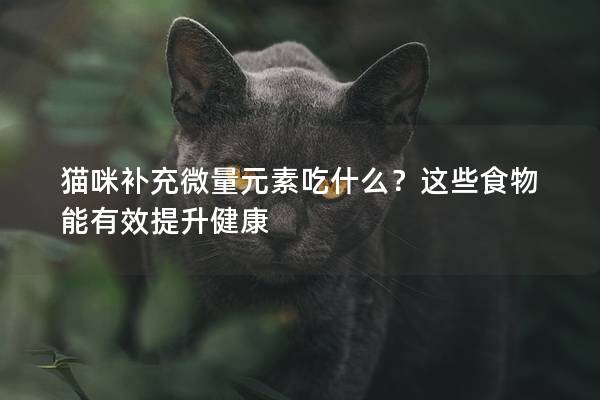 猫咪补充微量元素吃什么？这些食物能有效提升健康