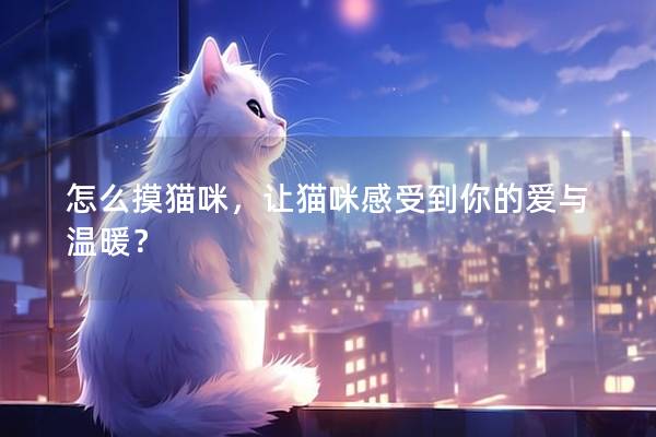 怎么摸猫咪，让猫咪感受到你的爱与温暖？