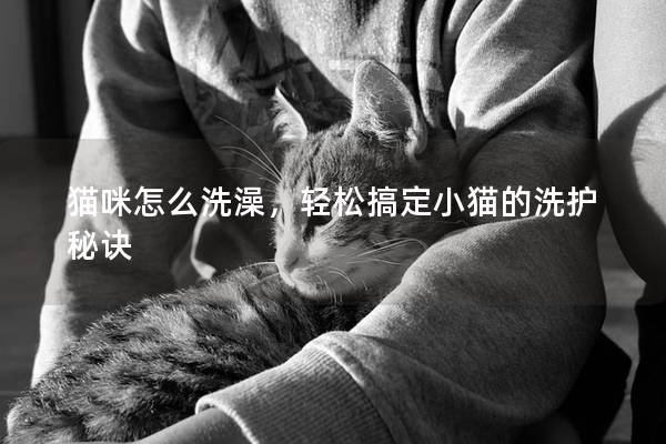 猫咪怎么洗澡，轻松搞定小猫的洗护秘诀