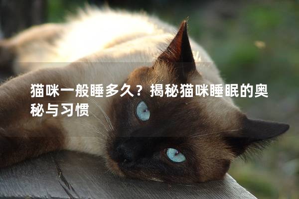 猫咪一般睡多久？揭秘猫咪睡眠的奥秘与习惯