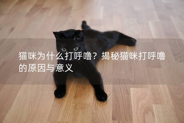 猫咪为什么打呼噜？揭秘猫咪打呼噜的原因与意义