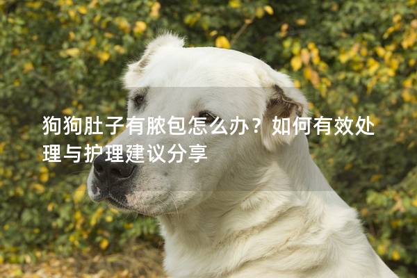 狗狗肚子有脓包怎么办？如何有效处理与护理建议分享