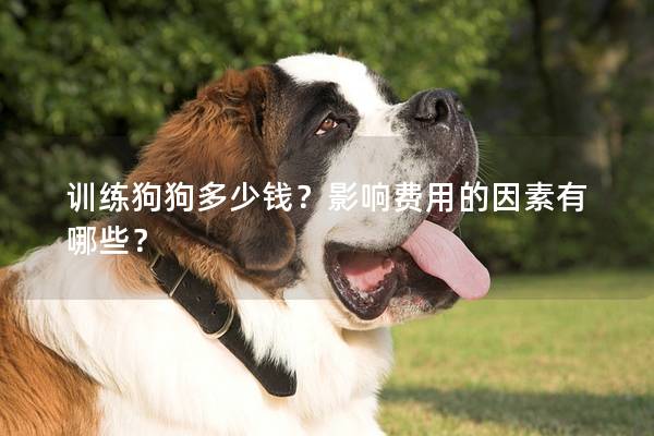 训练狗狗多少钱？影响费用的因素有哪些？