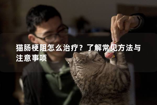 猫肠梗阻怎么治疗？了解常见方法与注意事项