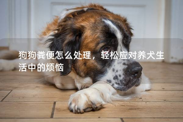 狗狗粪便怎么处理，轻松应对养犬生活中的烦恼