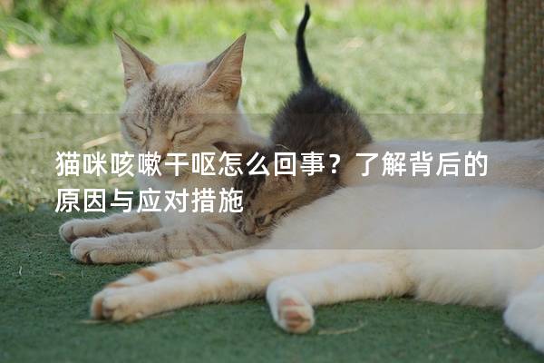 猫咪咳嗽干呕怎么回事？了解背后的原因与应对措施