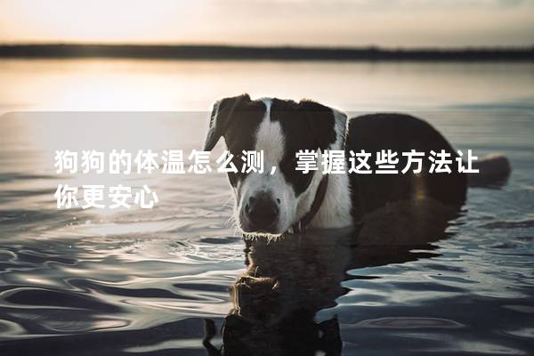 狗狗的体温怎么测，掌握这些方法让你更安心