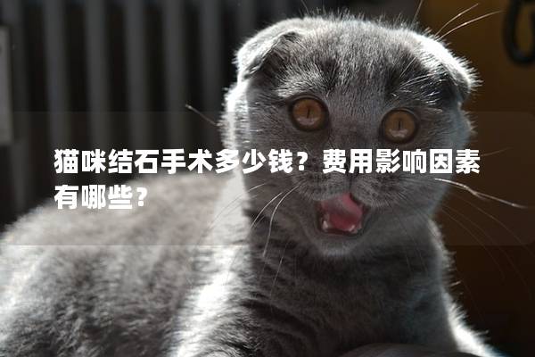 猫咪结石手术多少钱？费用影响因素有哪些？