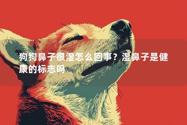 狗狗鼻子很湿怎么回事？湿鼻子是健康的标志吗