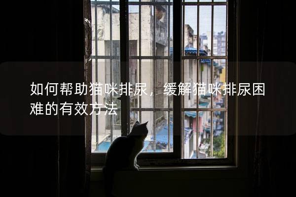 如何帮助猫咪排尿，缓解猫咪排尿困难的有效方法