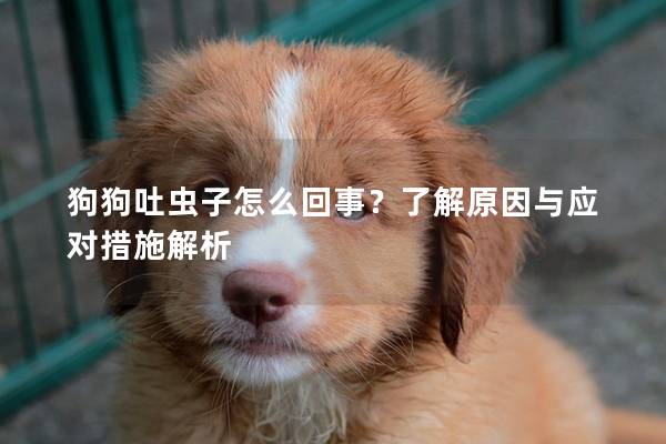 狗狗吐虫子怎么回事？了解原因与应对措施解析