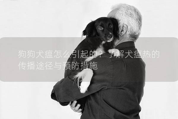 狗狗犬瘟怎么引起的？了解犬瘟热的传播途径与预防措施