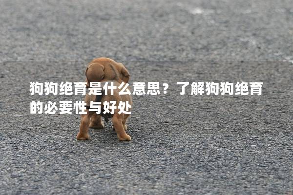 狗狗绝育是什么意思？了解狗狗绝育的必要性与好处