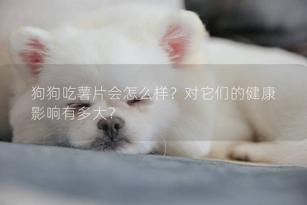 狗狗吃薯片会怎么样？对它们的健康影响有多大？