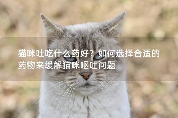 猫咪吐吃什么药好？如何选择合适的药物来缓解猫咪呕吐问题