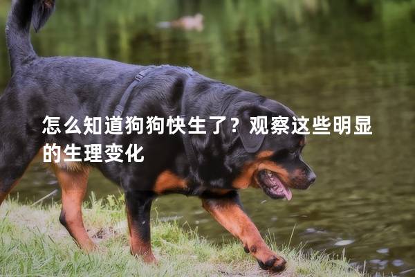 怎么知道狗狗快生了？观察这些明显的生理变化