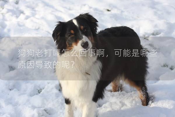 狗狗老打嗝怎么回事啊，可能是哪些原因导致的呢？