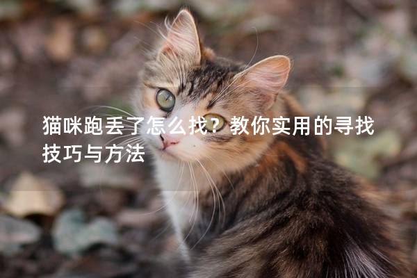 猫咪跑丢了怎么找？教你实用的寻找技巧与方法