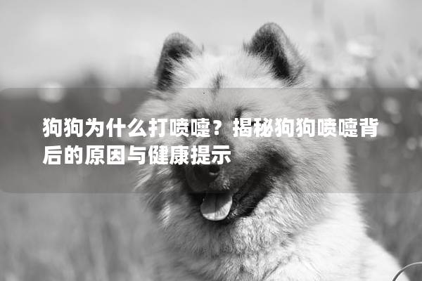 狗狗为什么打喷嚏？揭秘狗狗喷嚏背后的原因与健康提示