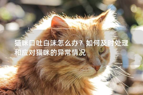 猫咪口吐白沫怎么办？如何及时处理和应对猫咪的异常情况