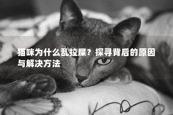 猫咪为什么乱拉屎？探寻背后的原因与解决方法