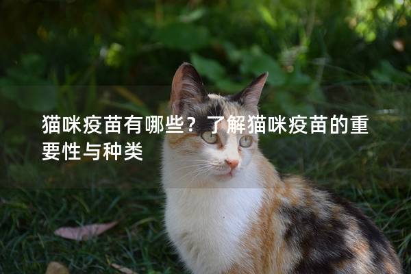 猫咪疫苗有哪些？了解猫咪疫苗的重要性与种类