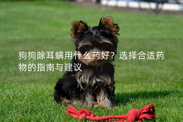 狗狗除耳螨用什么药好？选择合适药物的指南与建议