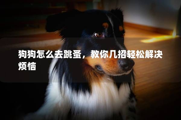 狗狗怎么去跳蚤，教你几招轻松解决烦恼