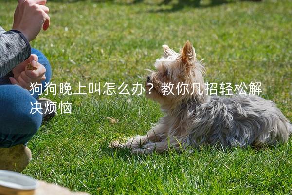 狗狗晚上叫怎么办？教你几招轻松解决烦恼