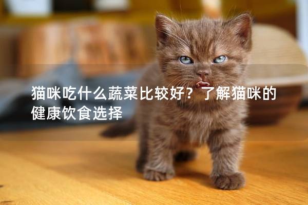 猫咪吃什么蔬菜比较好？了解猫咪的健康饮食选择