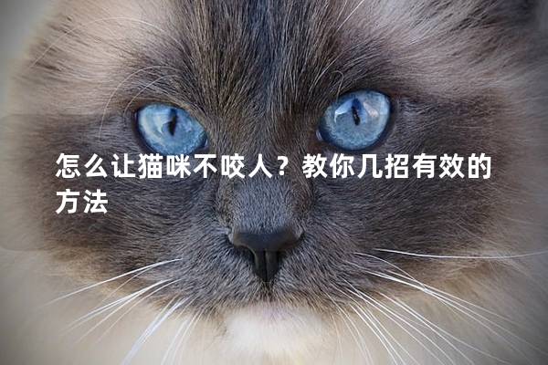 怎么让猫咪不咬人？教你几招有效的方法