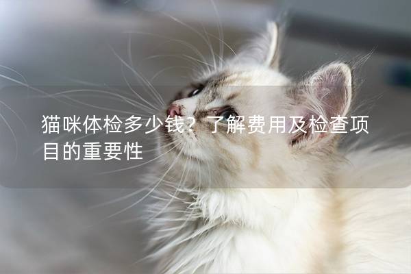 猫咪体检多少钱？了解费用及检查项目的重要性