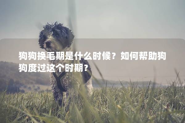 狗狗换毛期是什么时候？如何帮助狗狗度过这个时期？