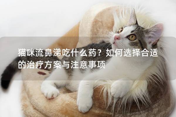 猫咪流鼻涕吃什么药？如何选择合适的治疗方案与注意事项