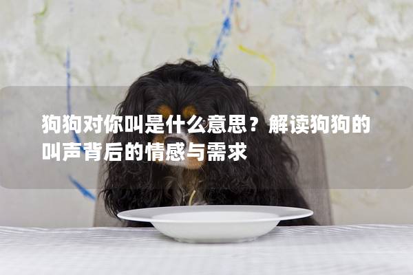 狗狗对你叫是什么意思？解读狗狗的叫声背后的情感与需求