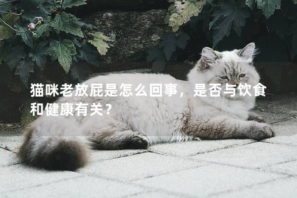 猫咪老放屁是怎么回事，是否与饮食和健康有关？