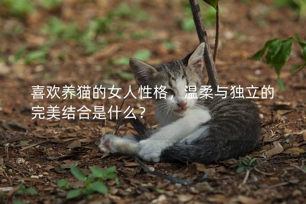 喜欢养猫的女人性格，温柔与独立的完美结合是什么？