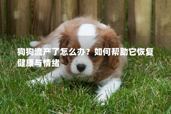 狗狗流产了怎么办？如何帮助它恢复健康与情绪