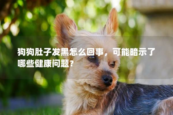 狗狗肚子发黑怎么回事，可能暗示了哪些健康问题？