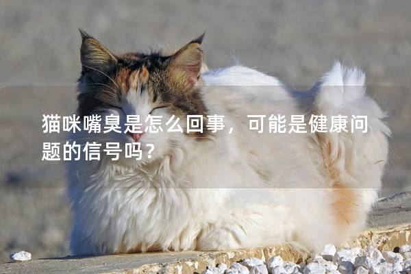 猫咪嘴臭是怎么回事，可能是健康问题的信号吗？