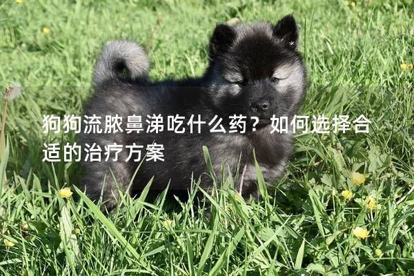 狗狗流脓鼻涕吃什么药？如何选择合适的治疗方案